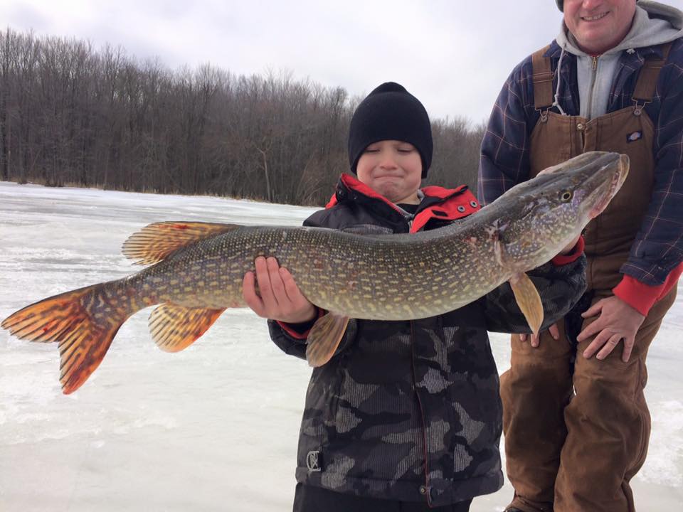 Pike - Hawkins Outfitters - Northern Michigan Fly Fishing and Wingshooting